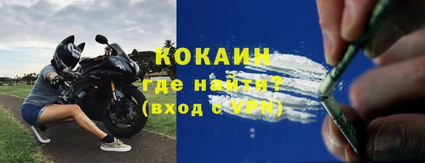 стаф Семилуки
