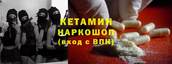 стаф Семилуки