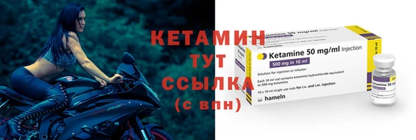 стаф Семилуки
