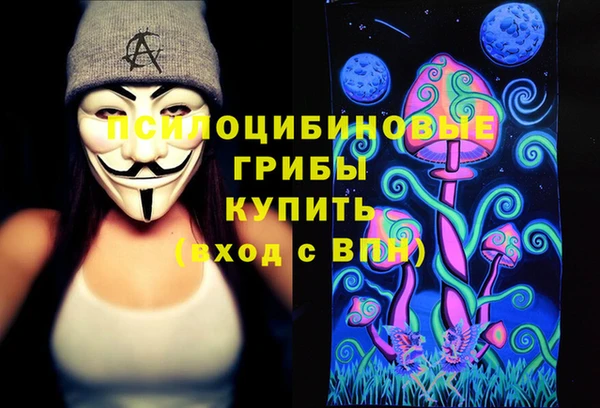 стаф Семилуки