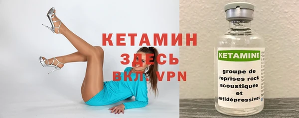 стаф Семилуки