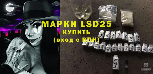 стаф Семилуки