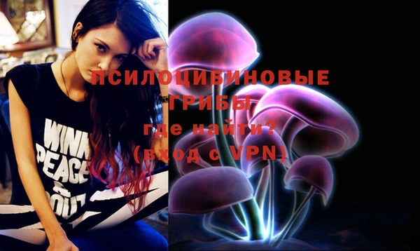 стаф Семилуки